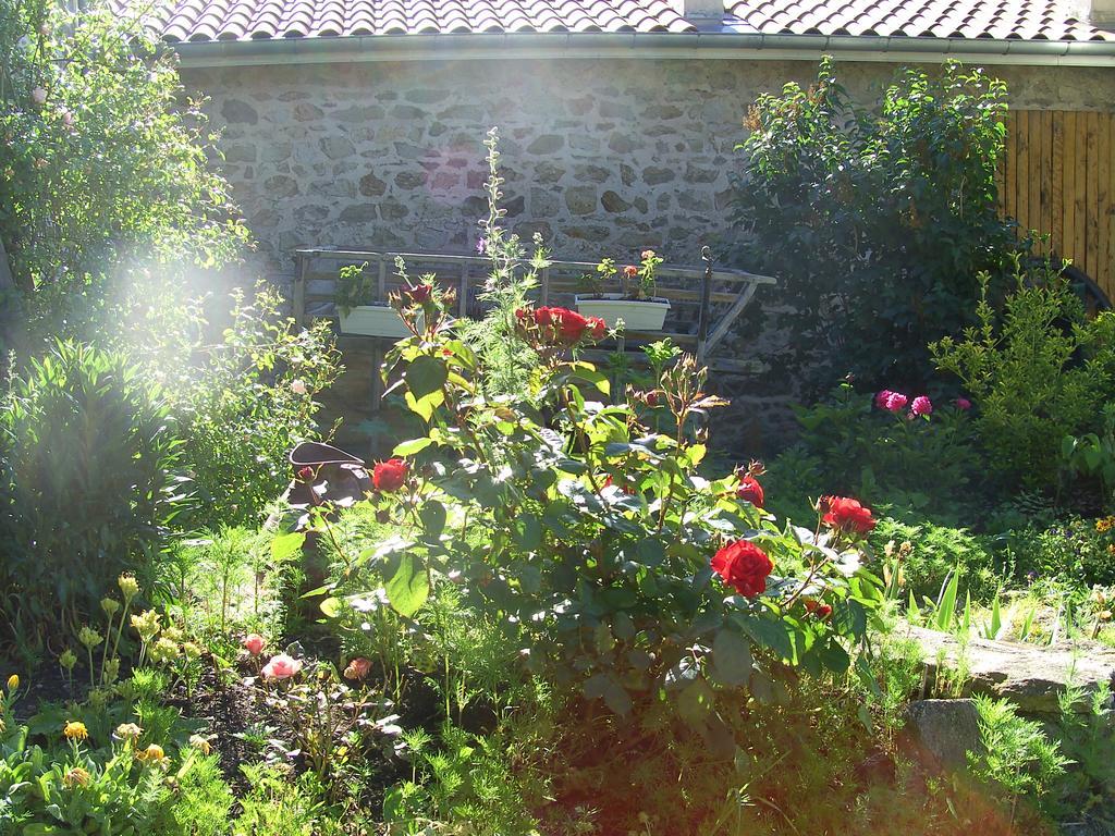 Cellier De La Fontaine Villa Saint-Georges-en-Couzan Oda fotoğraf