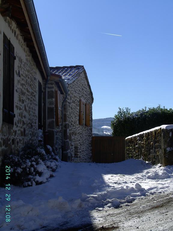 Cellier De La Fontaine Villa Saint-Georges-en-Couzan Oda fotoğraf