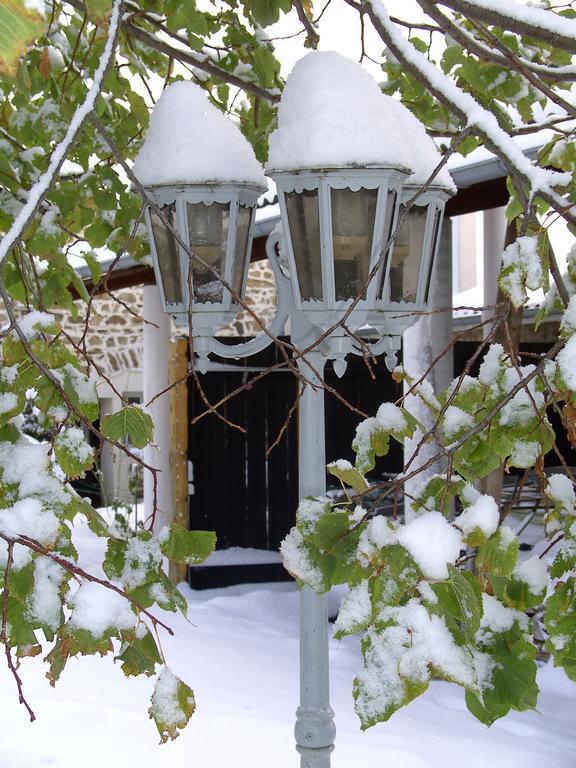 Cellier De La Fontaine Villa Saint-Georges-en-Couzan Oda fotoğraf