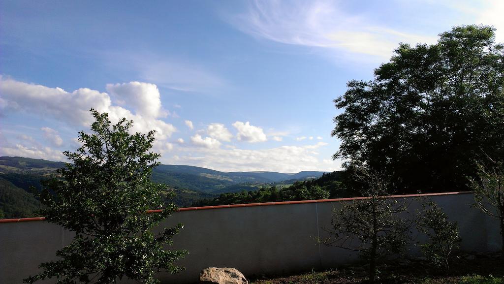 Cellier De La Fontaine Villa Saint-Georges-en-Couzan Oda fotoğraf