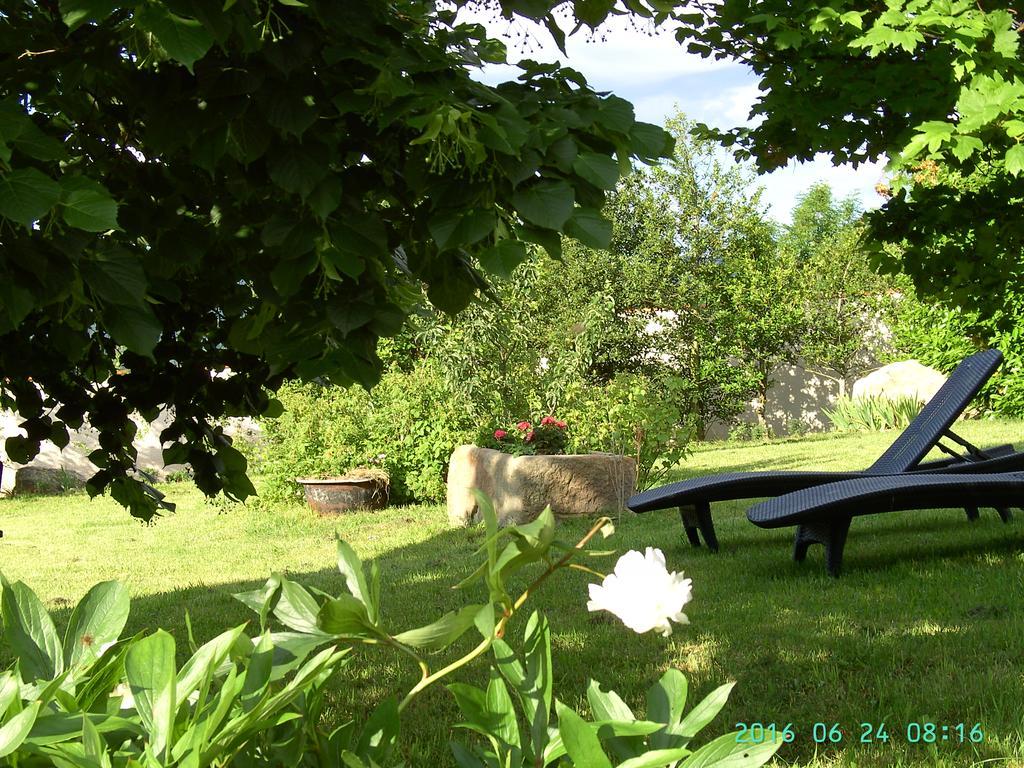 Cellier De La Fontaine Villa Saint-Georges-en-Couzan Dış mekan fotoğraf